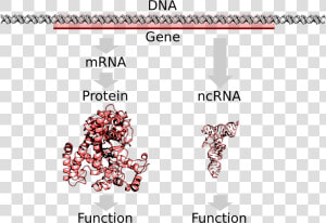 Dna Svg Ouroboros  HD Png Download