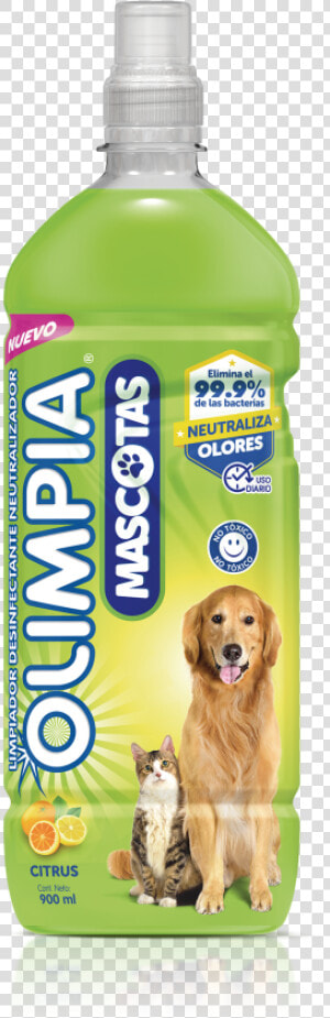 Nuevoproducto Olimpia Mascotas   Golden Retriever  HD Png Download