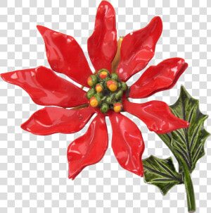 1641 X 1641   Poinsettia  HD Png Download