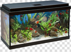 Acuario Aqualed 64l   Acuario De 100 Litros Medidas  HD Png Download