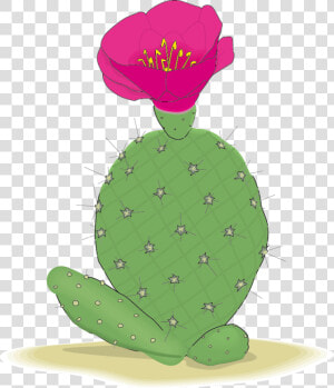 Cactaceae Clip Art   Cactus  HD Png Download