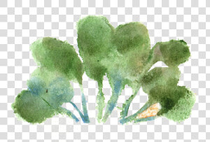 Transparent Watercolor Paint Png   Watercolor Paint  Png Download