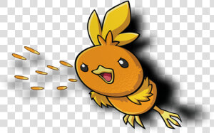 Torchic Png  Transparent Png