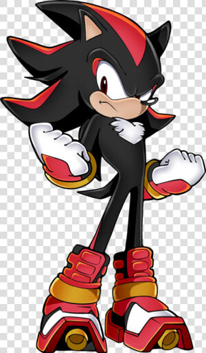 Transparent Shadow The Hedgehog Logo Png   Sonic Boom Shadow  Png Download