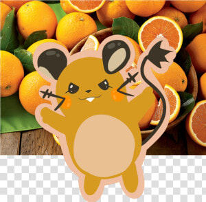 Oranges  HD Png Download