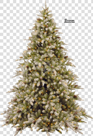 Download Christmas Tree Clipart Png Photo   Snowy Christmas Tree Png  Transparent Png