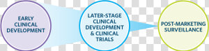 Clinical Drug Dev Web Graphic Transparent Bkgd   Discovery And Preclinical  HD Png Download