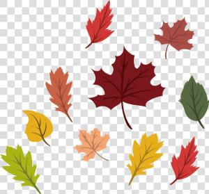 Png Black And White Autumn Vector Colorful Leave   Leaf Autumn Vector Png  Transparent Png