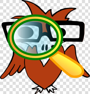 Eye Clipart Magnifying Glass   Eagle With Magnifying Glass  HD Png Download