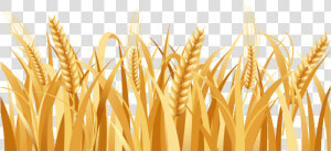 Svg Freeuse Library Barley Vector Head   Wheat Png  Transparent Png