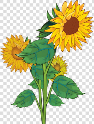 Marigold Cliparts Cute   Free Sunflower Clip Art  HD Png Download