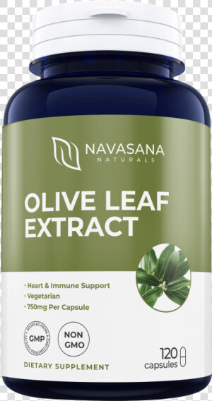 Olive Leaf Extract With 20  Oleuropein   Candida Complex  HD Png Download