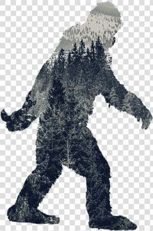 Do You Believe In Bigfoot  HD Png Download