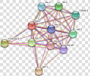 Lsd 1 Protein   Circle  HD Png Download