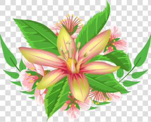 Decorative Element Png Image   Stargazer Lily  Transparent Png