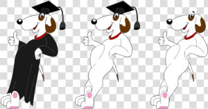 Graduating Dogs  HD Png Download