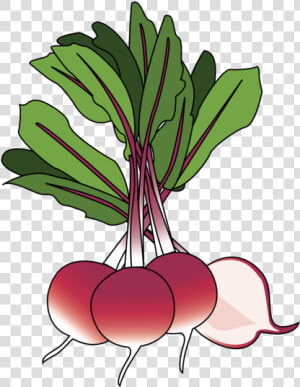 Beet Greens  HD Png Download