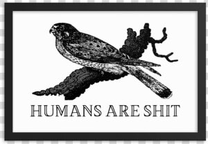 Humans Are Shit Framed Print Srcset Data   Effin Birds  HD Png Download