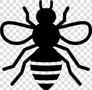 Noun Bee 1975333 000000   Stingless Bee Icon  HD Png Download