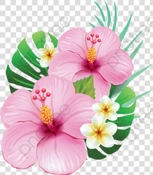 Transparent Hibiscus Clipart Black And White   Flor De Hibisco Png  Png Download