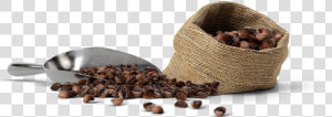 Coffee St Pete   Coffee Mockup Scene Creator  HD Png Download