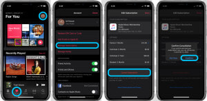 How To Cancel Apple Music Subscription Walkthrough   Controls For Airpod Pros  HD Png Download