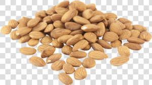 Almonds Natural   Coin  HD Png Download