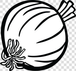 Onion Clipart Onoin   Onion Black And White Clipart  HD Png Download