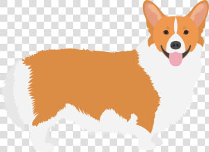 Pembroke Welsh Corgi Cardigan Welsh Corgi Icelandic   Corgi Png  Transparent Png