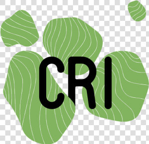 Logo Cri Paris  HD Png Download