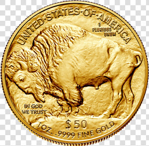 Title Style Max Height   1 Oz American Gold Buffalo Random Dated Coin  HD Png Download