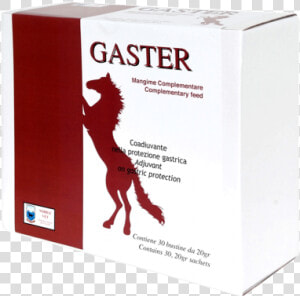 Gaster   Stomach Antistress   Gastric Protector   Box  HD Png Download