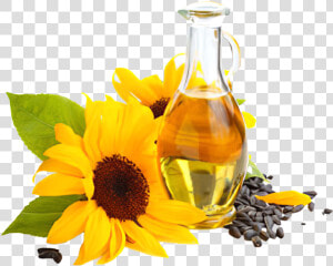 Sunflower Oil Png Picture   Fortune Groundnut Oil Add  Transparent Png