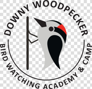 Downy Woodpecker   Cartoon   Oil  amp  Gas Uk  HD Png Download