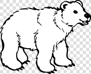 Polar Bear Hd Image Clipart   Polar Bear Black And White  HD Png Download