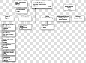 University Human Resources   Human Resources Organization Chart  HD Png Download