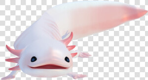 Axolotl Png 6 » Png Image   Transparent Axolotl Png  Png Download