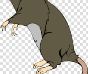 Rat Clipart Greedy   Rat Png Clipart  Transparent Png