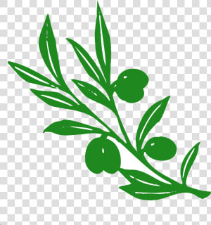 Tree Branches With Leaves Png   Olive Tree Branch Clipart  Transparent Png