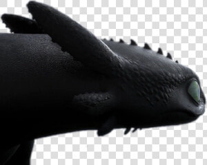  toothless  nightfury  httyd  httyd3  hiddenworld  jws   Toothless Httyd 3 Png  Transparent Png