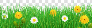 Transparent Grass Border Clipart   Background Grass Flowers Png  Png Download