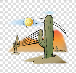 Arizona Pickleball   Png Download   Illustration  Transparent Png