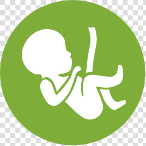 Gynaecology  amp  Obstetrics Icon   Png Download   Gynaecology  amp  Obstetrics Icon  Transparent Png