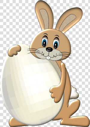 Easter Bunny Clipart Conejo   Conejo De Pascua Png  Transparent Png