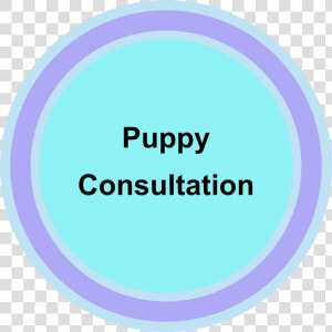 Puppy consultation   Consultation Room  HD Png Download