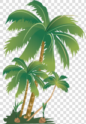  tropical  summer  palm  tree  palmera  summerfun  sticker   Palm Trees  HD Png Download