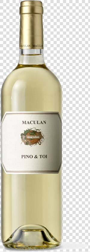 Pino  amp  Toi   Maculan Pino  amp  Toi  HD Png Download