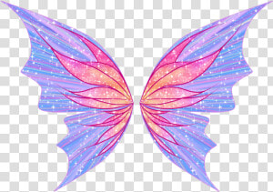  wings  fairy  fairywings  faerie  freetoedit   Winx Club  HD Png Download