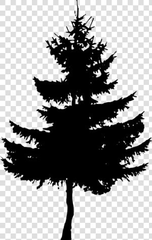 Pine Tree Silhouette   Pine Tree Silhouette Free  HD Png Download