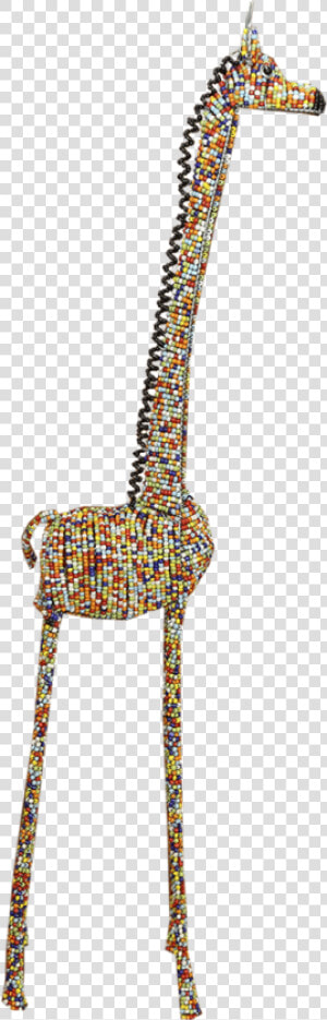 Bending Head Giraffe   Giraffe  HD Png Download